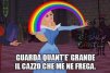 epeira