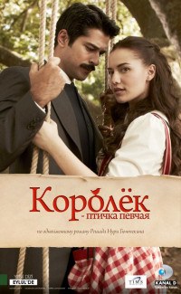 Королек - птичка певчая