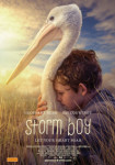 Штормовой мальчик