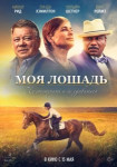 Моя лошадь