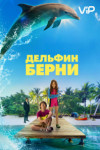 Дельфин Берни