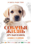 Собачья жизнь: Друзья навек