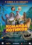 Команда котиков